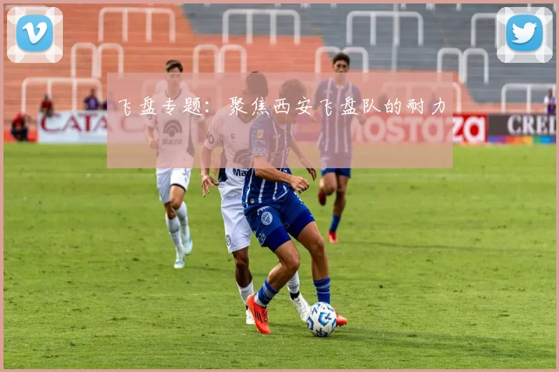 飞盘专题：聚焦西安飞盘队的耐力