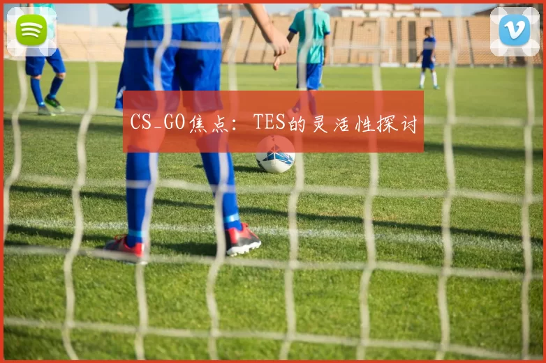 CS_GO焦点：TES的灵活性探讨