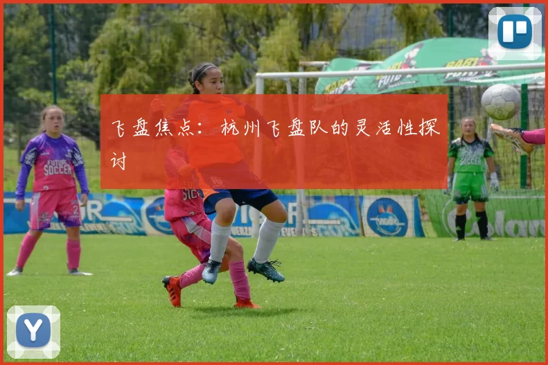 飞盘焦点：杭州飞盘队的灵活性探讨