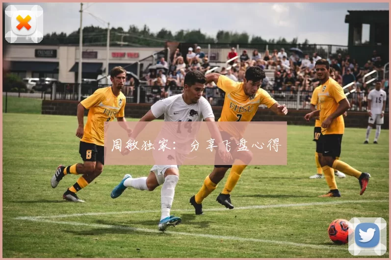 周敏独家：分享飞盘心得