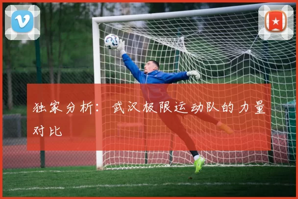 独家分析：武汉极限运动队的力量对比