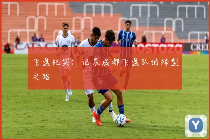 飞盘纪实：记录成都飞盘队的转型之路