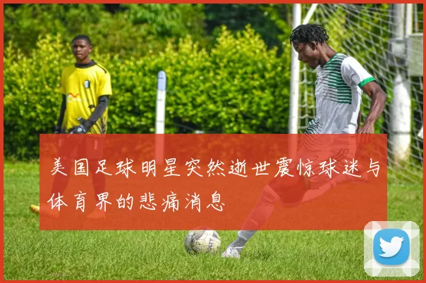 美国足球明星突然逝世震惊球迷与体育界的悲痛消息