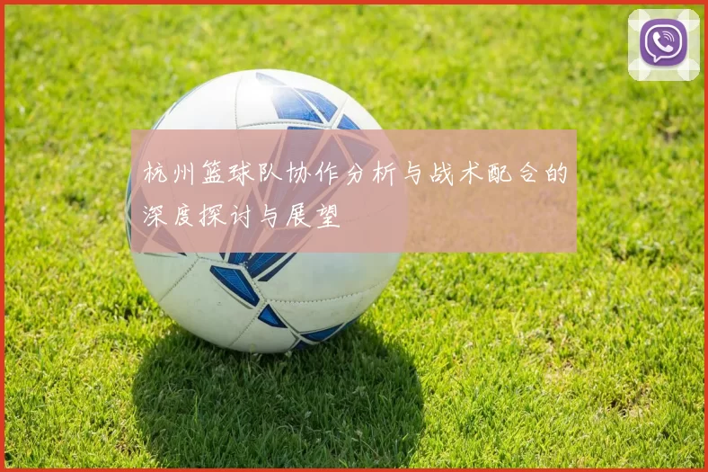杭州篮球队协作分析与战术配合的深度探讨与展望