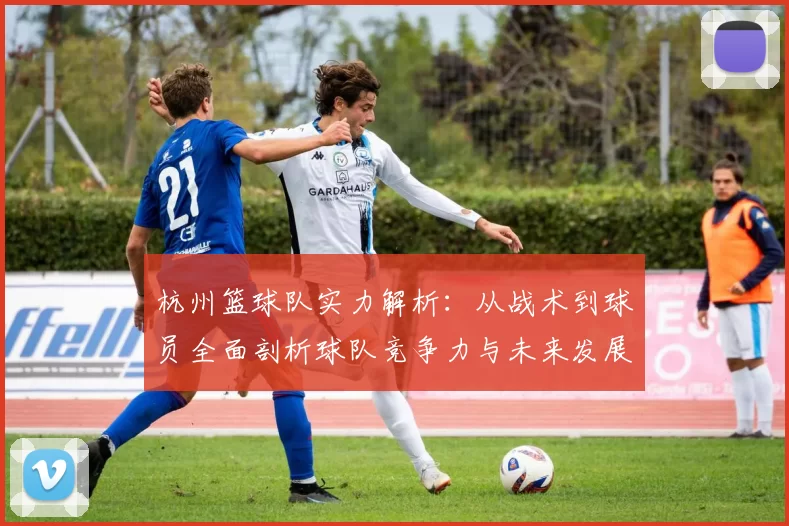 杭州篮球队实力解析：从战术到球员全面剖析球队竞争力与未来发展潜力