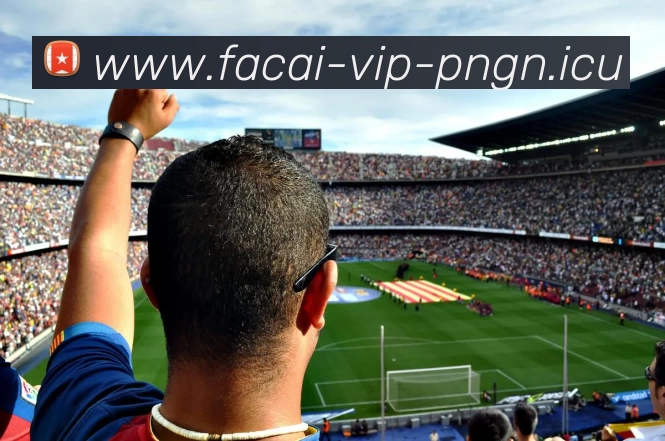 星空体育平台生态图